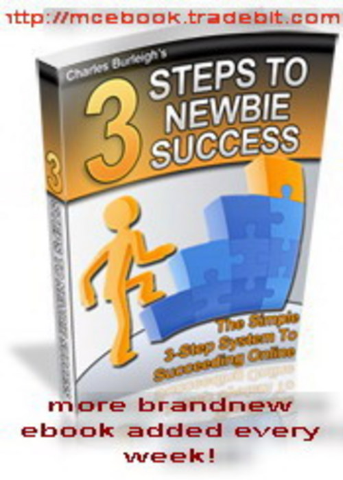 Product picture 3 Steps To Newbie Success 