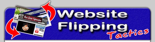Product picture Website Flipping Tactics