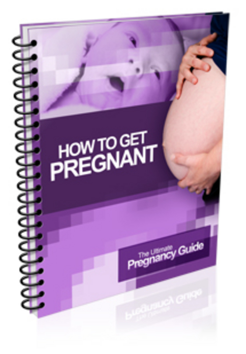 Product picture The Ultimate Pregnancy Guide