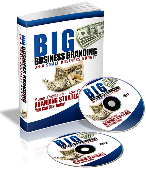 Product picture Big Business Branding PLR
